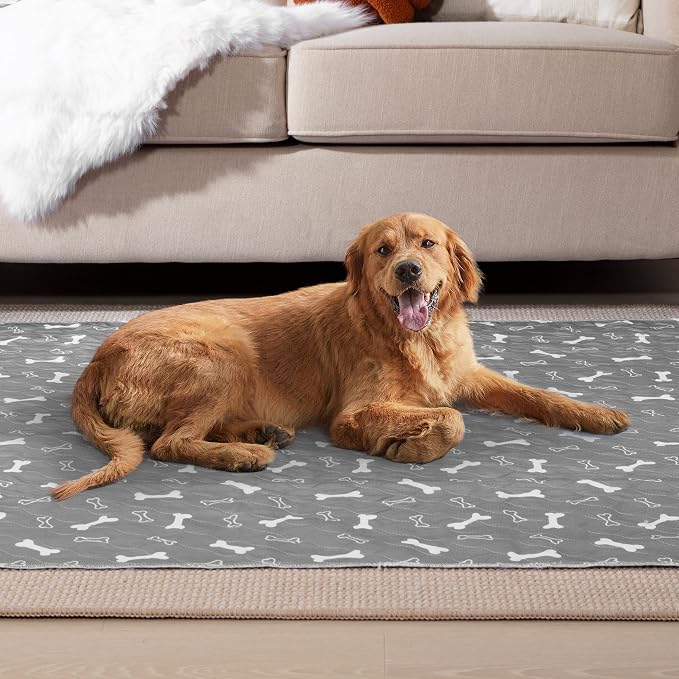 Eterish Reusable Washable Pee Pads for Dogs Extra Large 36'' x 72'' 2 Pack, Absorbent Pet Puppy Dog Training Pads Non-Slip, Waterproof Whelping Potty Pads for Dogs Leak-Proof