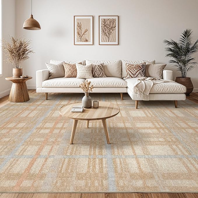 Tortania Area Rug Living Room Rugs - 6x9 Washable Large Soft Neutral Boho Moroccan Bohemian Farmhouse Rug Indoor Floor Carpet for Bedroom Under Dining Table Home Office Decor - NeutralBeige