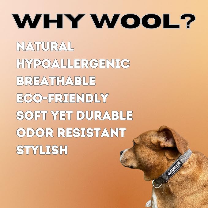 Pawsitive Wool Dog Collar - Hypoallergenic Dog Collar, Great Dog Collar for Sensitive Skin, Soft Collar for Dogs, Soft Organic Dog Collar Eco-Friendly (Large, Gray & Leash)