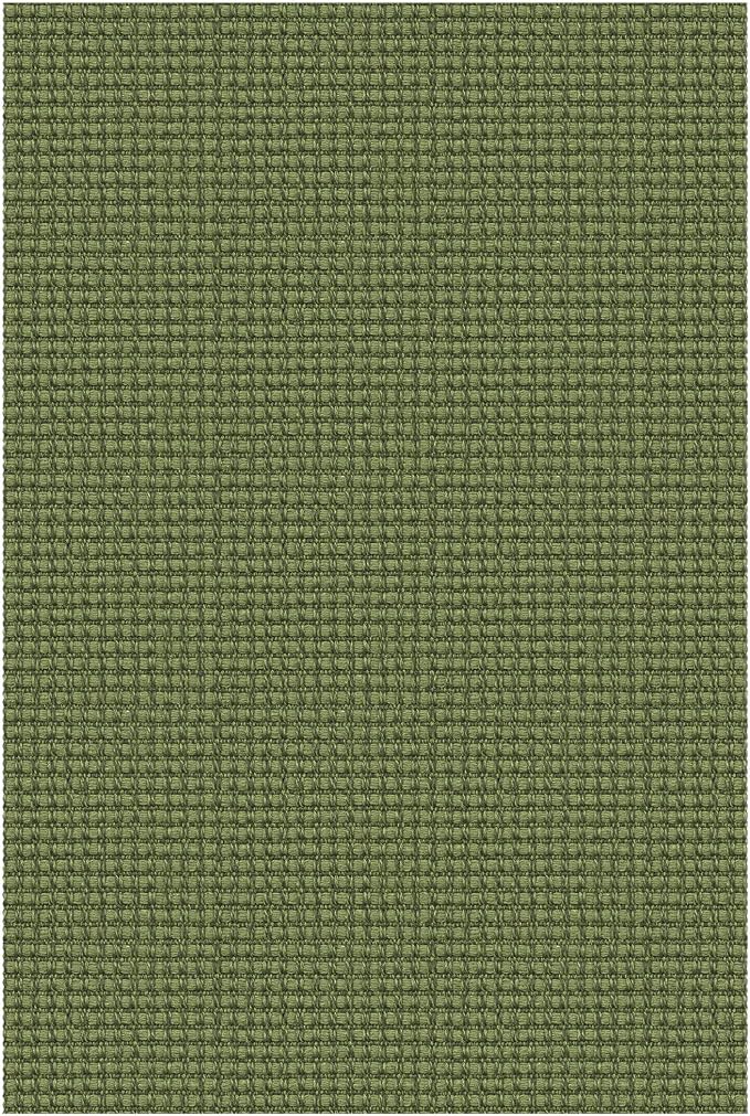 EARTHALL Woven Area Rug 2x3 Ft Washable Rugs for Entryway Braided Non Slip Throw Rugs Door Mat Indoor Outdoor Entrance Small Cotton Woven Carpet for Kitchen Foyer Front Door, Green