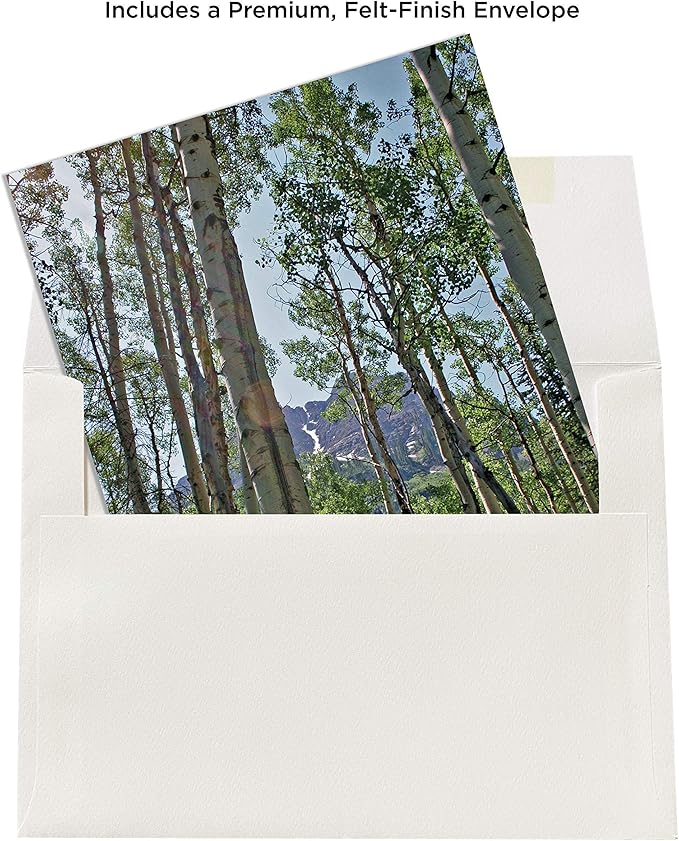 Tall Trees Boxed Note Cards – Aspen Grove Spring Photo, 8 Premium A7 Recycled Stationery with Envelopes