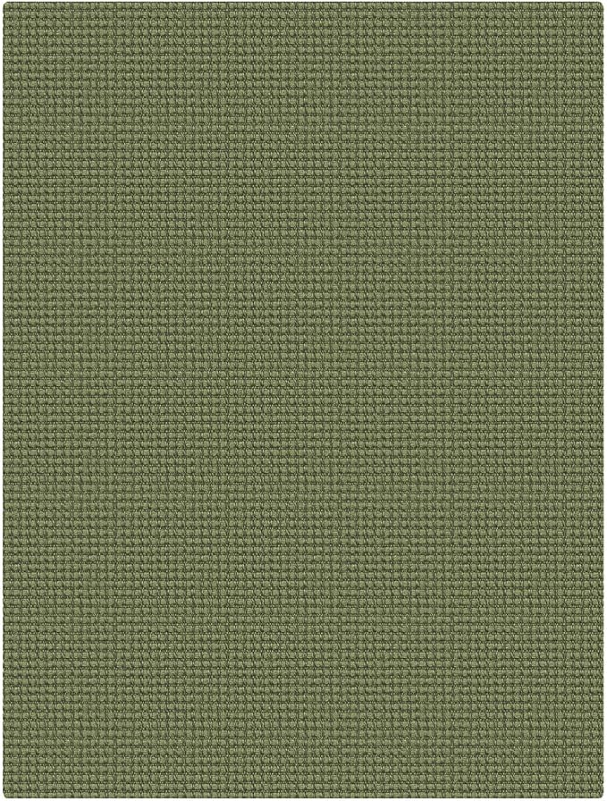 EARTHALL Woven Area Rug 3x4 Ft Washable Rugs for Entryway Braided Non Slip Rubber Backed Throw Rugs Door Mat Indoor Outdoor Entrance Cotton Carpet for Kitchen Foyer Front Door, Green