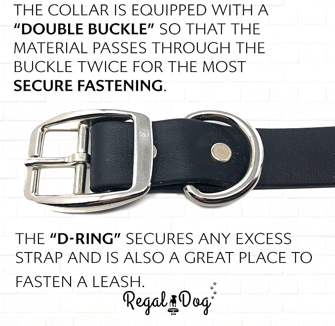 Regal Dog Products Large Black Waterproof Dog Collar and Leash Set | Heavy Duty Double Buckle & D Ring - 5'ft Leash | Adjustable Biothane Dog Collar | Chew Resistant Waterproof Collar for Dogs