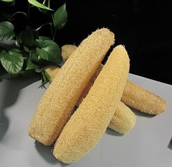 Organic Loofah Sponge 6 Pack – 100% Natural Body Scrubbers for Bath & Shower | Eco-Friendly, Biodegradable Exfoliating Sponges