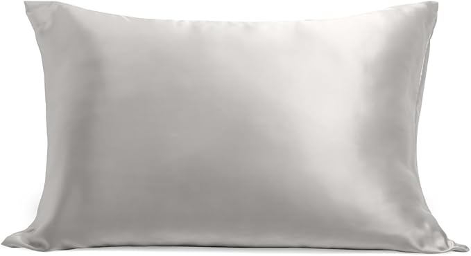 Cosy House Collection 100% Pure Silk Pillowcase | Pure Mulberry Silk - Cooling, Breathable, 22 Momme 6A High-Grade Fibers + Hidden Zipper Closure (Standard, Silver)