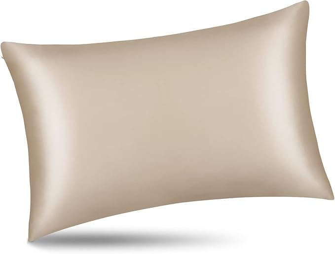 ALASKA BEAR Natural Silk Pillowcase, Hypoallergenic, 19 Momme, 600 Thread Count 100 Percent Mulberry Silk, King Size with Hidden Zipper (1,Champagne Gold)