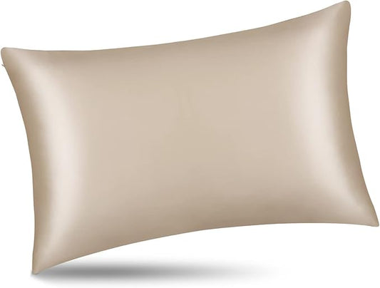 ALASKA BEAR Natural Silk Pillowcase, Hypoallergenic, 19 Momme, 600 Thread Count 100 Percent Mulberry Silk, Standard Size with Hidden Zipper (1,Champagne Gold)