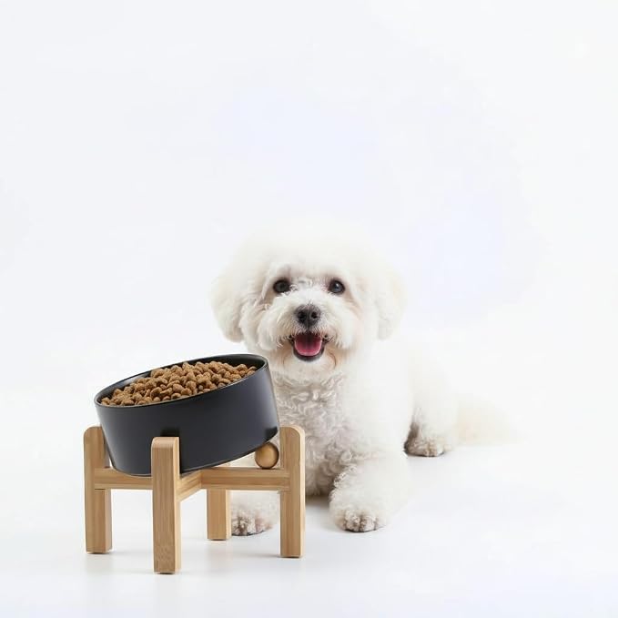 Petygooing Black Raised/Elevated 15°Slanted Ceramic Dog Bowl for Small Breeds,Tilted Anti Slip Pet Feeding Bowl,Food Water Dish with Stand for Cats and Small Dogs Puppy 13.5 OZ (5.1In /1.7 Cups)