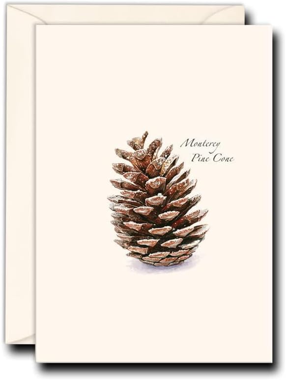 Earth Sky + Water - Pine Cone Notecard Set - 8 Blank Cards with Envelopes