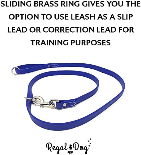 Regal Dog Products Medium Blue Waterproof Dog Collar and Leash Set | Heavy Duty Double Buckle & D Ring - 5'ft Leash | Adjustable Biothane Dog Collar | Chew Resistant Waterproof Collar for Dogs