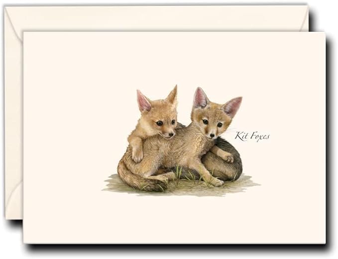 Earth Sky + Water - Kit Foxes Notecard Set - 8 Blank Cards with Envelopes