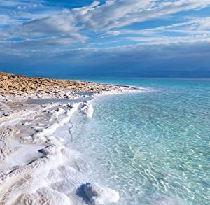 Natural Elephant Dead Sea Salt for Soaking & Bathing |19 Pounds Bulk Bag | Fine Grain | 100% Natural and Pure