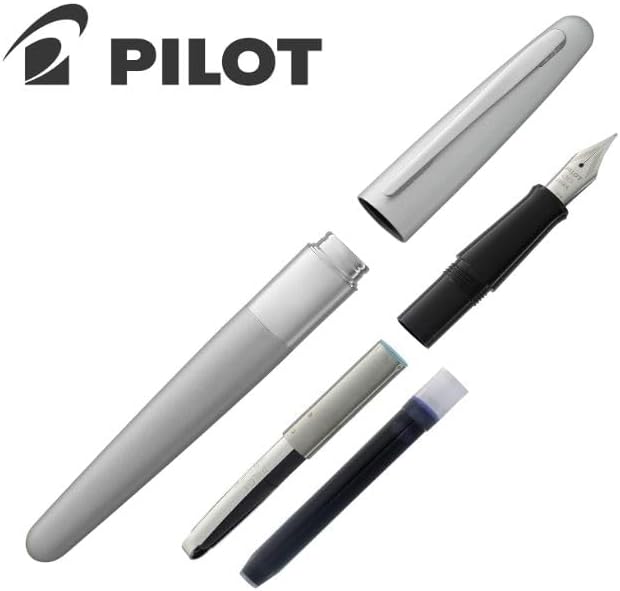 Goldspot Personalized Pilot Metropolitan Classic Fountain Pen in Custom Engraved Pen in Silver