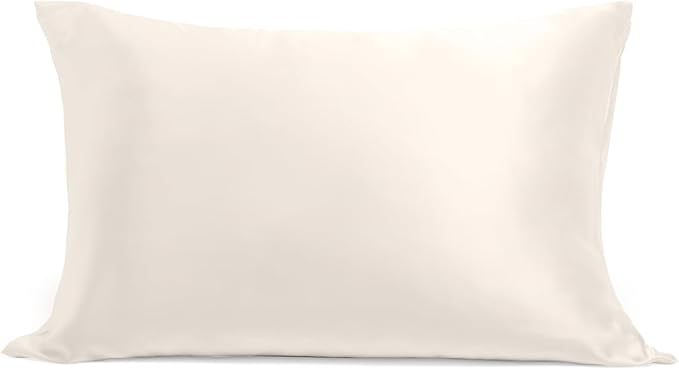Cosy House Collection 100% Pure Silk Pillowcase | Pure Mulberry Silk - Cooling, Breathable, 22 Momme 6A High-Grade Fibers + Hidden Zipper Closure (Standard, White)