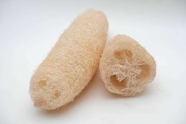 Organic Loofah Sponge 5 Pack – 100% Natural Body Scrubber Set | Eco-Friendly, Biodegradable Bath Sponges for Shower & Exfoliation