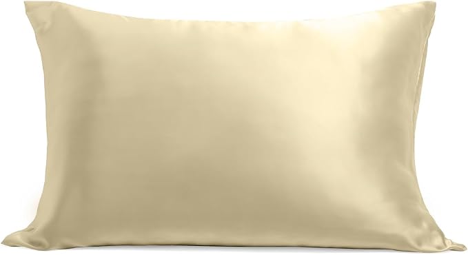Cosy House Collection 100% Pure Silk Pillowcase | Pure Mulberry Silk - Cooling, Breathable, 22 Momme 6A High-Grade Fibers + Hidden Zipper Closure (Standard, Cream)