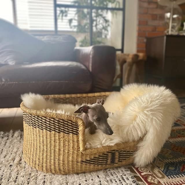 Woven Dog Bed Basket–Gifts for Dogs–Small to XXL Dog Bed–Large Bed for Large Dogs–Elegance and Decorative Bed for Your Dog–Comfortable Dog Bed–Small Dog Bed (Medium, Bobo)