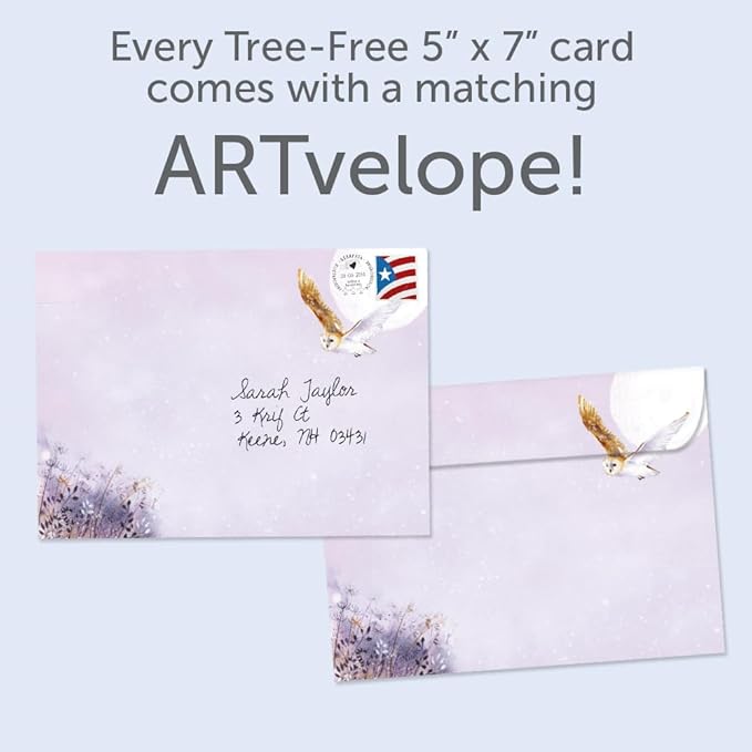 Tree-Free Greetings - Winter Solstice Greeting Card - Artful Designs - 1 Card + Matching Envelope - Made in USA - 100% Recycled Paper - 5"x7" - Owl Calmness (GO68828)