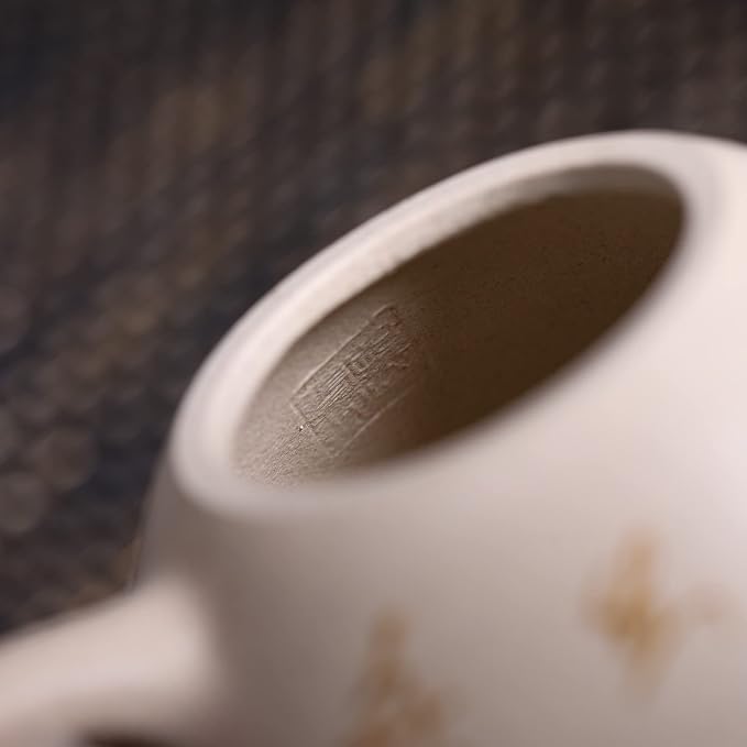Zisha Teapot, Chinese Yixing Clay Handmade Teapot 8.4 Oz, Infuse Brew Kung Fu Loose Leaf Tea Maker