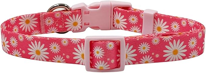 Dog Collar Leash Set, Floral Pattern, Polyester Material, Adjustable Collar and 5ft Matching Leash, for Medium Dogs.(M, Daisy)