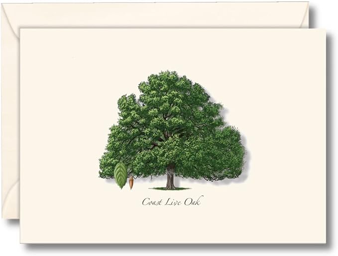 Earth Sky + Water - Coast Live Oak Notecard Set - 8 Blank Cards with Envelopes