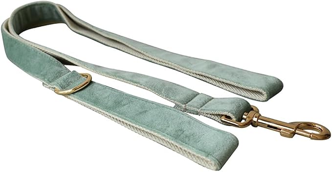 Love Dream Velvet Dog Collar and Leash Set, Soft & Comfy Adjustable Dog Leash and Collar with Heavy Duty Metal Buckle for Small Medium Large Dogs Training & Walking (XLarge, Mint Green)