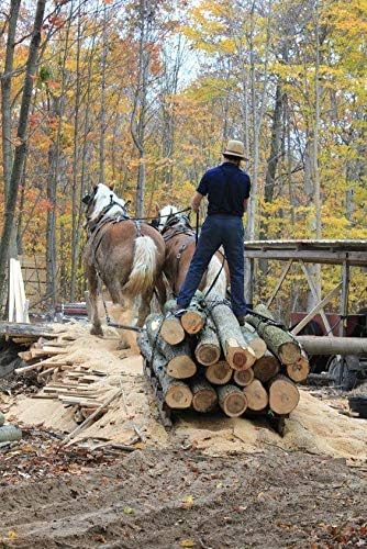 Woodchucks Wood 3/4 Inch x 2 Inch x 16 Inch Solid Cherry Hardwood Lumber as Cutting Board Wood (10 Pack)