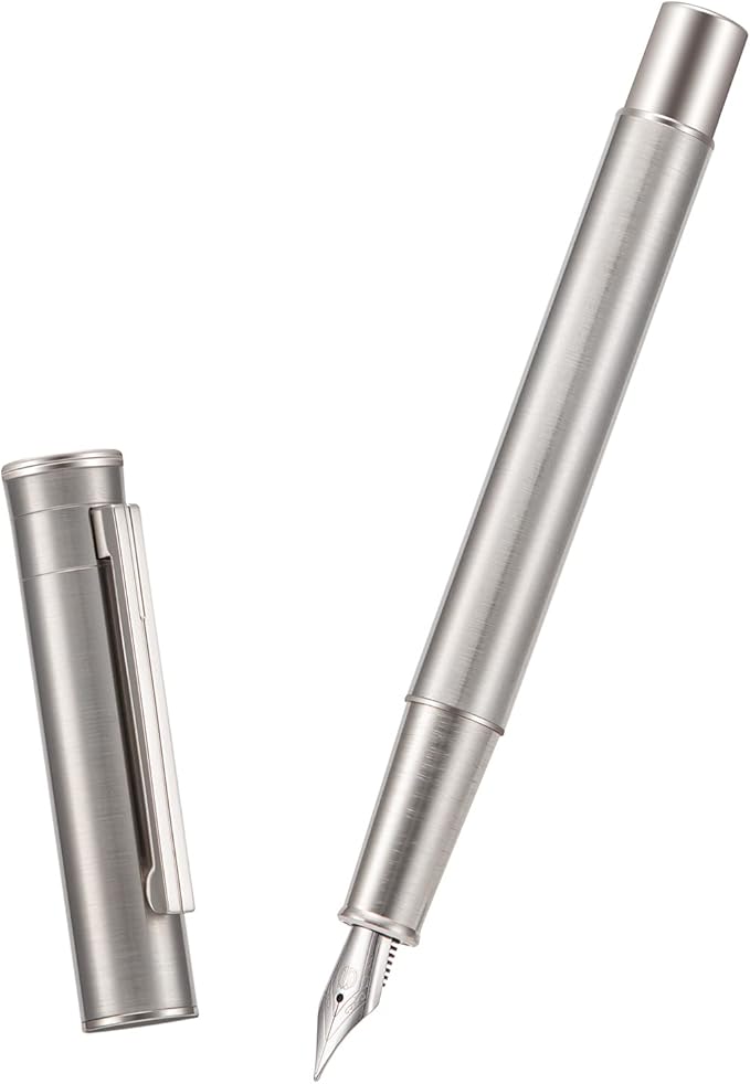 HONG DIAN Forest Pro Silver Stainless Steel Fountain Pen, Extra Fine Nib Classic Design Smooth Writing Pen with Converter and Metal Pen Case Set