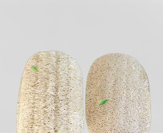 100% Natural Loofah Exfoliating Sponge (3 Pack) - Loofah Body Scrubber - Loofah Sponge - Organic Loofah - Exfoliating Body Sponge - Biodegradable Loofah - Bath Luffa Sponges - Exfoliating Loofah Pad