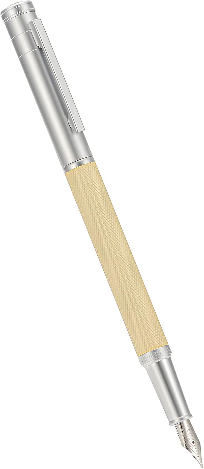 Hongdian Silver Birch Forest Aluminum Fountain Pen Medium Nib with Metal Box Writing Pen Set'1 Count (Pack of 1)