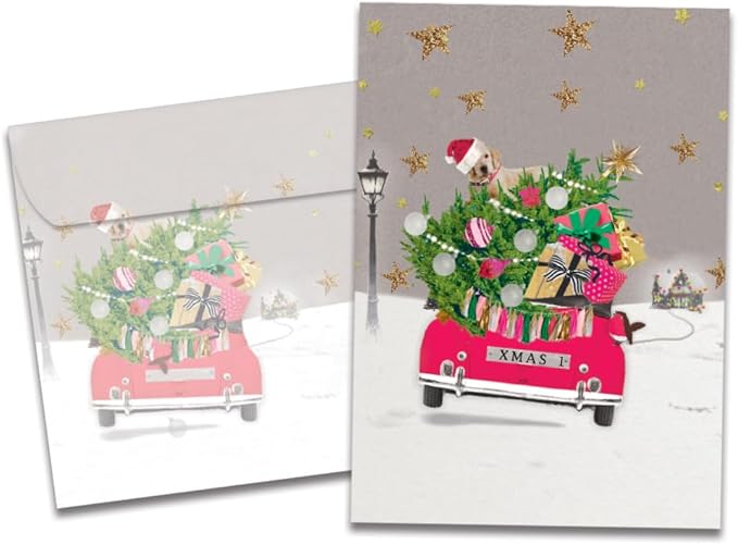 Tree-Free Greetings - Christmas Greeting Cards - Artful Designs - 1 Card + Matching Envelopes - Made in USA - 100% Recycled Paper - 5"x7" - Headed Home (GO64213)