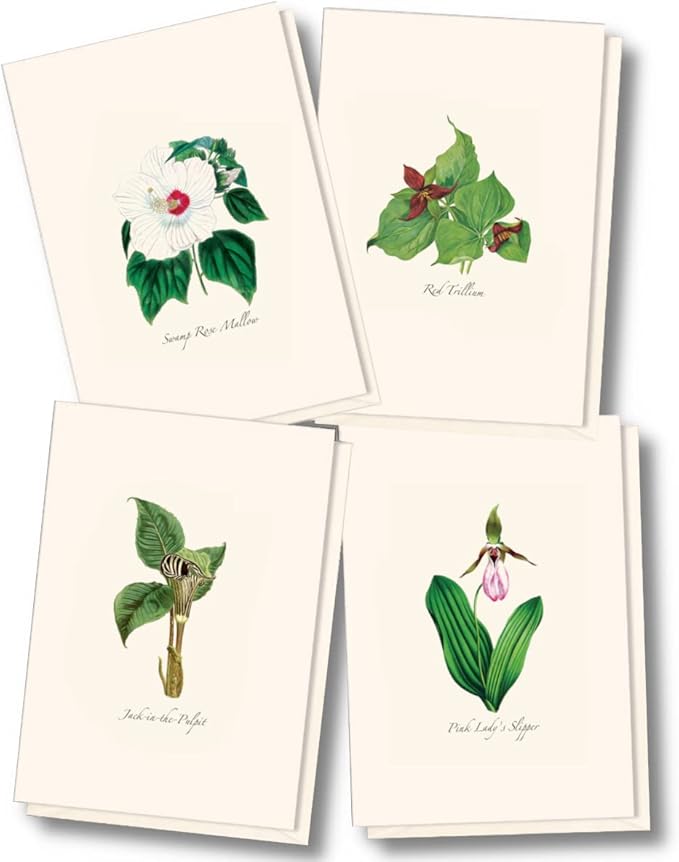 Earth Sky + Water - Woodland Wildflower Assortment Notecard Set - 8 Blank Cards with Envelopes (2 each of 4 styles)