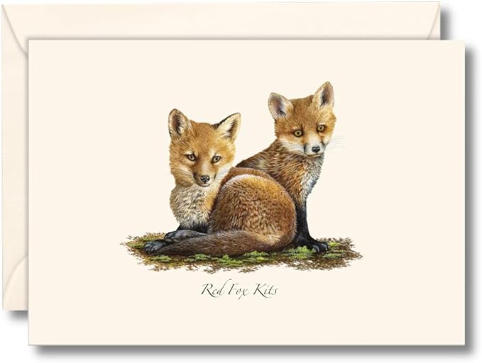 Earth Sky + Water - Red Fox Kits Notecard Set - 8 Blank Cards with Envelopes