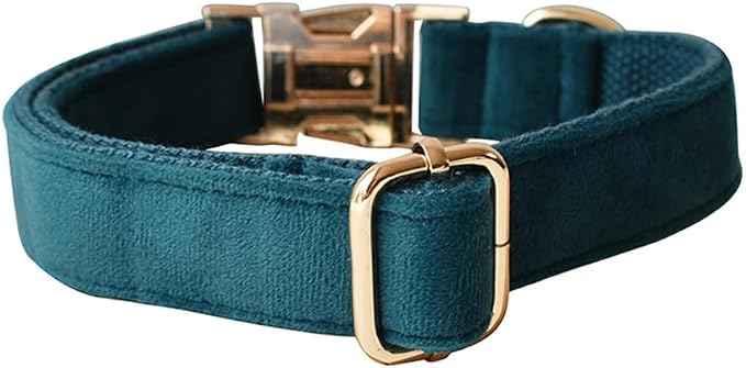 Love Dream Velvet Dog Collar and Leash Set, Soft & Comfy Adjustable Dog Leash and Collar with Heavy Duty Metal Buckle for Small Medium Large Dogs Training & Walking (Large, Peacock Green)