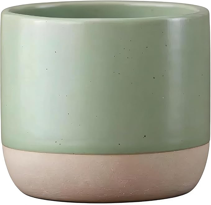 Japanese Ceramic Mug, Vintage Tea Cup, 8oz Cup, No Handle Drinking Cup for Latte Milk Water Beverage Juice Microwave and Dishwasher Safe (Green)