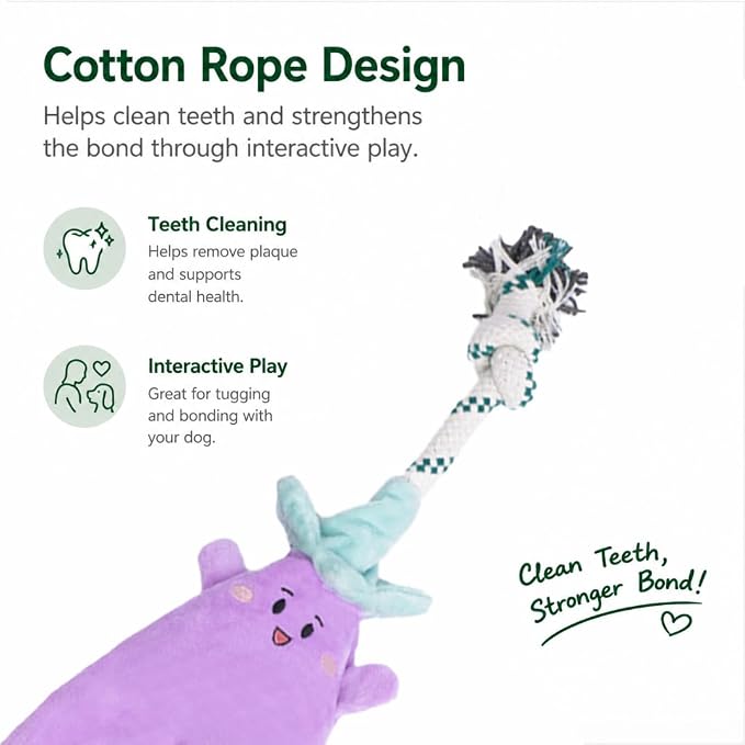 Green Sheep Interactive Plush Dog Toy, No Stuffing Squeaky Toy with Recycled Cotton Rope for Medium to Large Dogs, Aubergine
