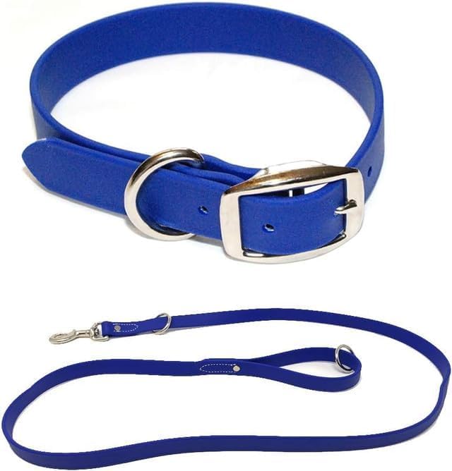 Regal Dog Products Small Blue Waterproof Dog Collar and Leash Set | Heavy Duty Double Buckle & D Ring - 5'ft Leash | Adjustable Biothane Dog Collar | Chew Resistant Waterproof Collar for Dogs