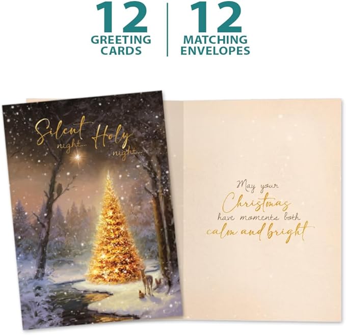 Tree-Free Greetings - Christmas Greeting Cards - Artful Designs - 12 Cards + Matching Envelopes - Made in USA - 100% Recycled Paper - 5"x7" - Calm and Bright (HP60512)