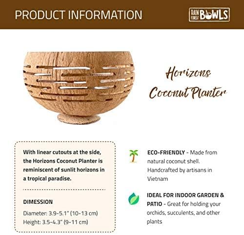 Rainforest Bowls Set of 4 Horizons Coconut Planters w/Drainage Hole- Perfect for Succulents, Flowers, Small Plants, Indoor & Outdoor Gardens- Handcarved by Artisans, Eco-Friendly & Sustainable