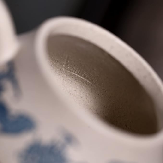 Zisha Teapot,Chinese Genuine Yixing Clay Teapot 7.4 Oz, Infuse Brew Kung Fu Loose Leaf Tea Maker -Siting,White Duanni Clay