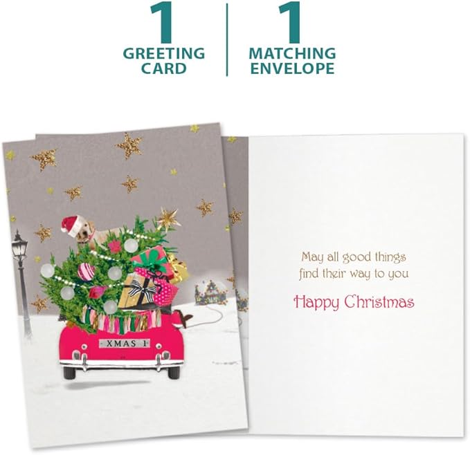 Tree-Free Greetings - Christmas Greeting Cards - Artful Designs - 1 Card + Matching Envelopes - Made in USA - 100% Recycled Paper - 5"x7" - Headed Home (GO64213)