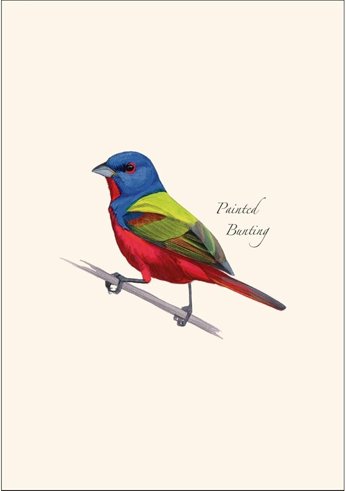 Earth Sky + Water - Painted Bunting Notecard Set - 8 Blank Cards with Envelopes