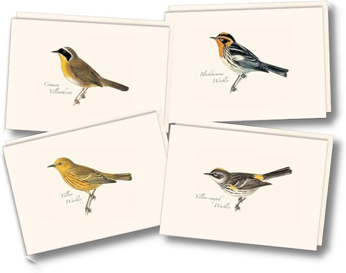 Earth Sky + Water - Peterson Warbler Assortment Notecard Set - 8 Blank Cards with Envelopes (2 each of 4 styles)