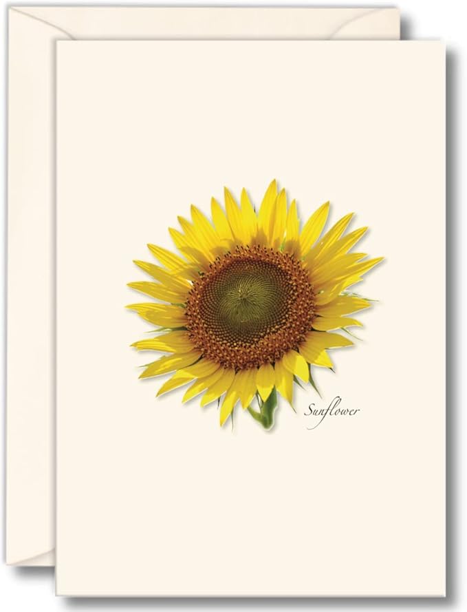 Earth Sky + Water - Sunflower Assortment Notecard Set - 8 Blank Cards with Envelopes