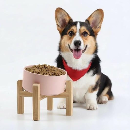 Petygooing Khaki Elevated/Raised 15°Slanted Ceramic Dog Bowl for Small and Medium Breeds, Tilted Anti Slip Pet Feeding Bowl,Food Water Dish with Stand for Cats and Dogs (28 OZ/3.6 Cups)