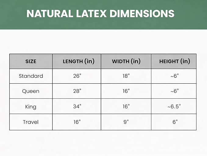 ORGANIC TEXTILES 100% Natural Latex Travel Pillow with Organic Cotton Cover (16 in x 9 in x 6 in) - Great for Airplane, Car, Bus, Train, Camping (Travel - Medium) - Pack of 1