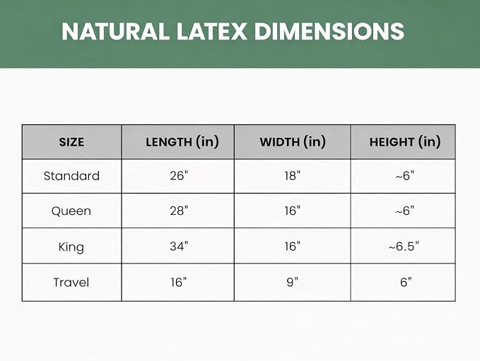 ORGANIC TEXTILES 100% Natural Latex Travel Pillow with Organic Cotton Cover (16 in x 9 in x 6 in) - Great for Airplane, Car, Bus, Train, Camping (Travel - Soft) - Pack of 1