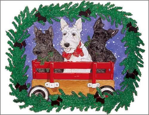 Pipsqueak Scottish Terrier Christmas Cards : 10 Holiday Cards with Red Envelopes - ADORABLE!