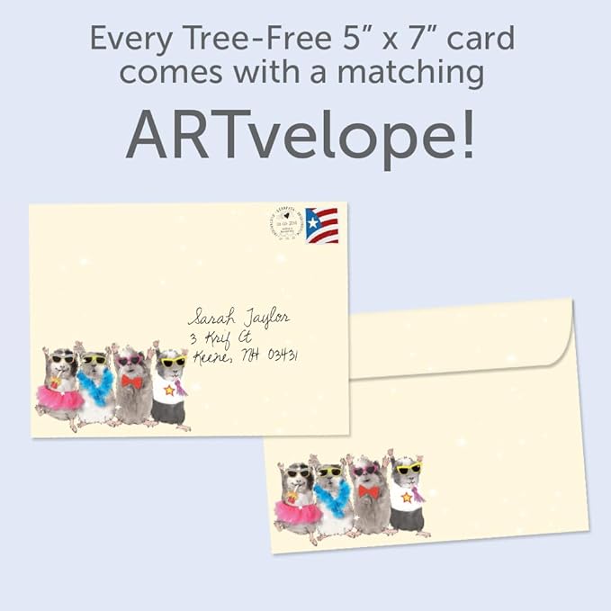Tree-Free Greetings - Birthday Card - Artful Designs - 1 Card + Matching Envelope - Made in USA - 100% Recycled Paper - 5 x 7 - Fun Day (GO65229)