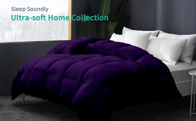 Eco Friendly Super Soft 116x98 Oversized King Down Alternative Comforter, Purple Box Pleated Thick 1000-TC Duvet Insert with 100% Cotton Cover, Fluffy King Comforter for All Season